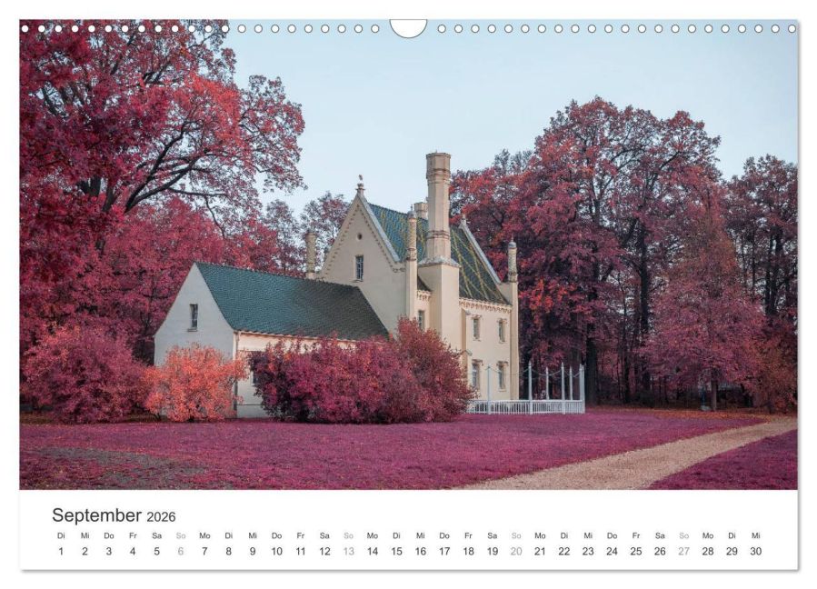 InsideView 14