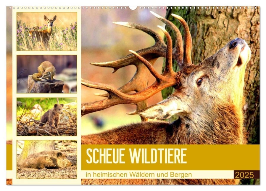 Scheue Wildtiere in heimischen Wäldern und Bergen (Wandkalender 2025 DIN A2 quer), CALVENDO Monatskalender - Rose Hurley