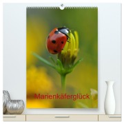 Cover-Bild zum Titel 'Marienkäferglück (hochwertiger Premium Wandkalender 2026 DIN A2 hoch), Kunstdruck in Hochglanz' von 'Susanne Herppich'