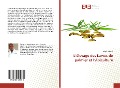 Cover-Bild zum Titel 'L¿élevage des Larves de palmier et l¿Apiculture' von 'Albert Kikonzi'