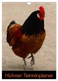 Hühner Terminplaner (Wandkalender 2025 DIN A4 hoch), CALVENDO Monatskalender - Kattobello Kattobello