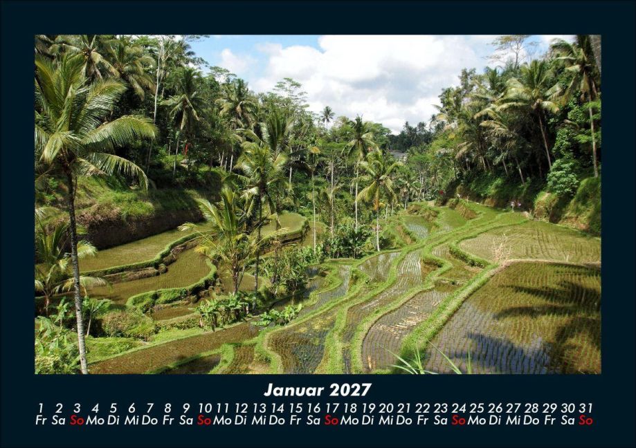InsideView 5