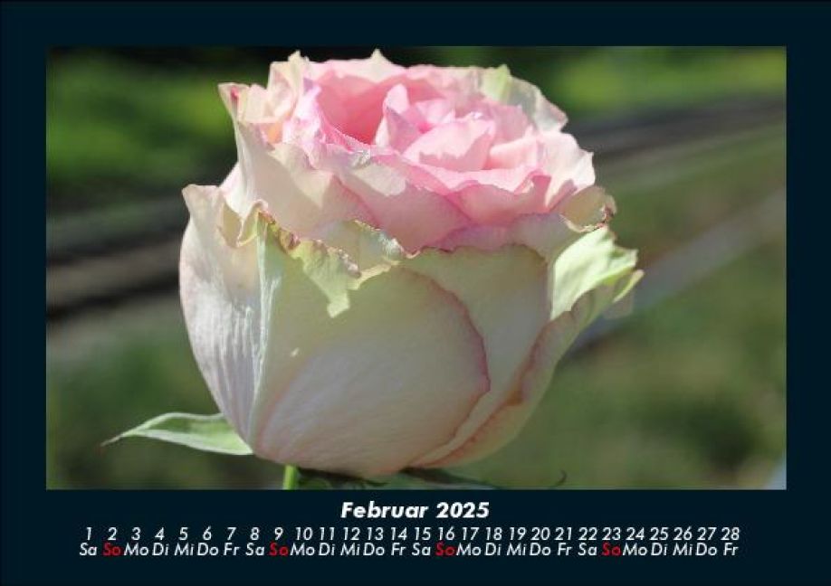 InsideView 6