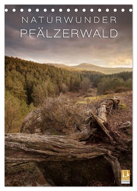 NATURWUNDER PFÄLZERWALD (Tischkalender 2027 DIN A5 hoch), CALVENDO Monatskalender - Raik Krotofil