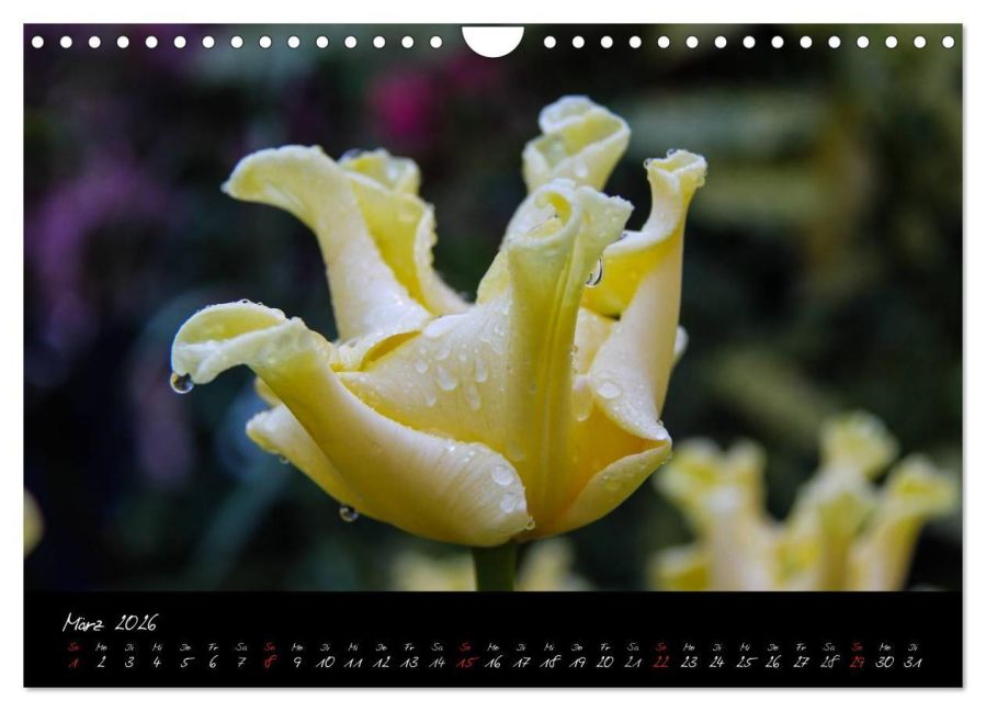 InsideView 8