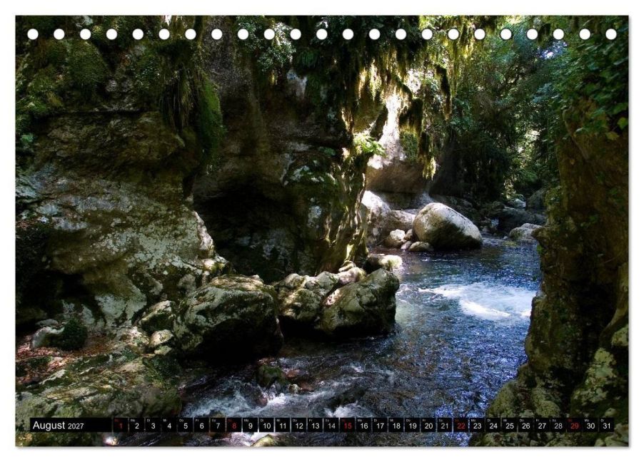 InsideView 13