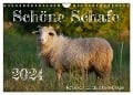 Schöne Schafe (Wandkalender 2024 DIN A4 quer), CALVENDO Monatskalender - Cordula Kelle-Dingel