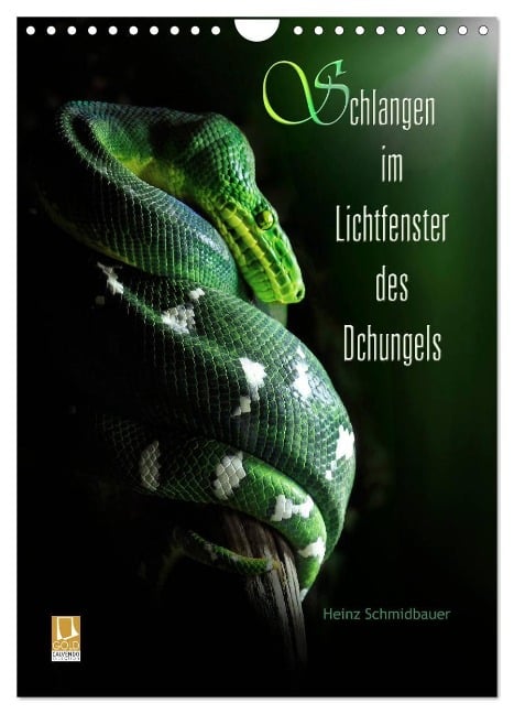 Schlangen im Lichtfenster des Dschungels (Wandkalender 2024 DIN A4 hoch), CALVENDO Monatskalender - Heinz Schmidbauer