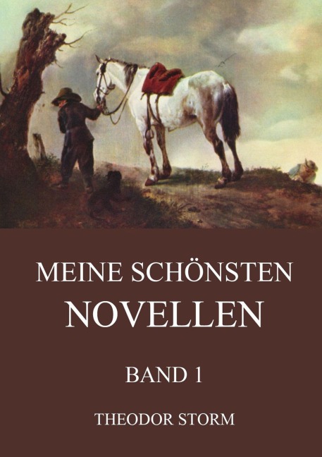 Meine schönsten Novellen, Band 1 - Theodor Storm