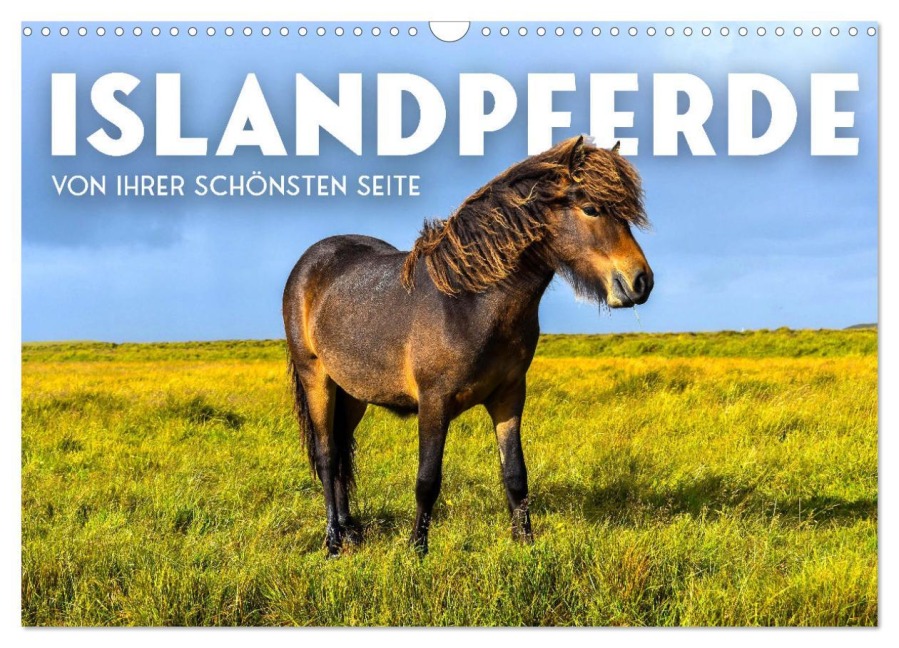 Islandpferde - Von ihrer schönsten Seite (Wandkalender 2026 DIN A3 quer), CALVENDO Monatskalender - Sf Sf