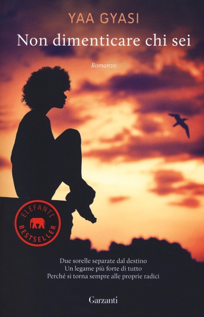 Non dimenticare chi sei - Yaa Gyasi