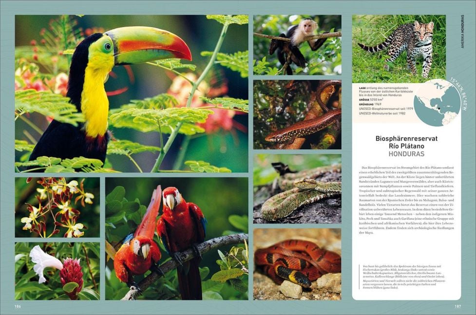 InsideView 11