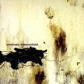 The Downward Spiral - Nine Inch Nails