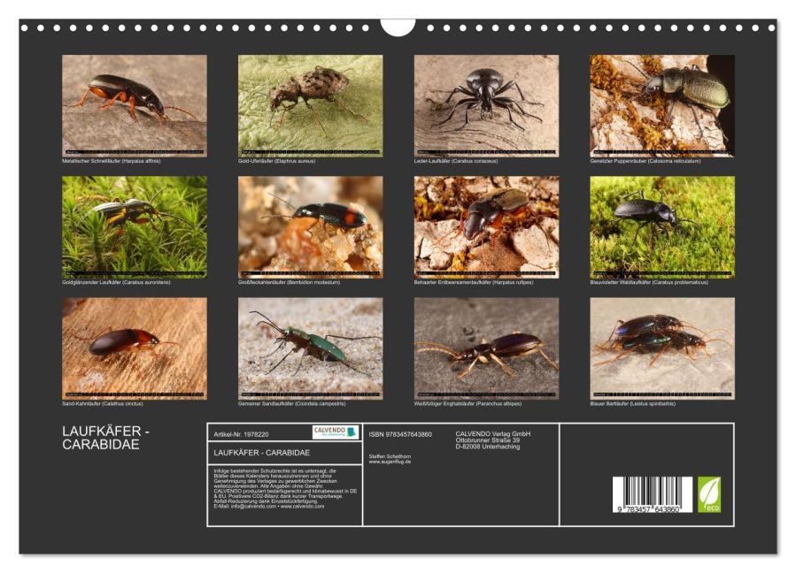 InsideView 5
