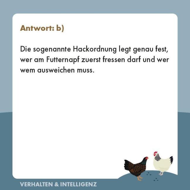 InsideView 6
