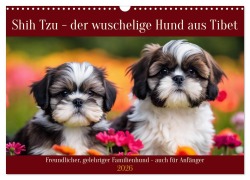 Cover-Bild zum Titel 'Shih Tzu - der wuschelige Hund aus Tibet (Wandkalender 2026 DIN A3 quer), CALVENDO Monatskalender' von 'Claudia Kleemann'