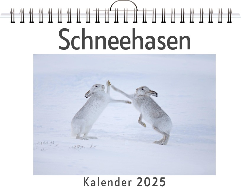 Schneehasen - Emily Müller