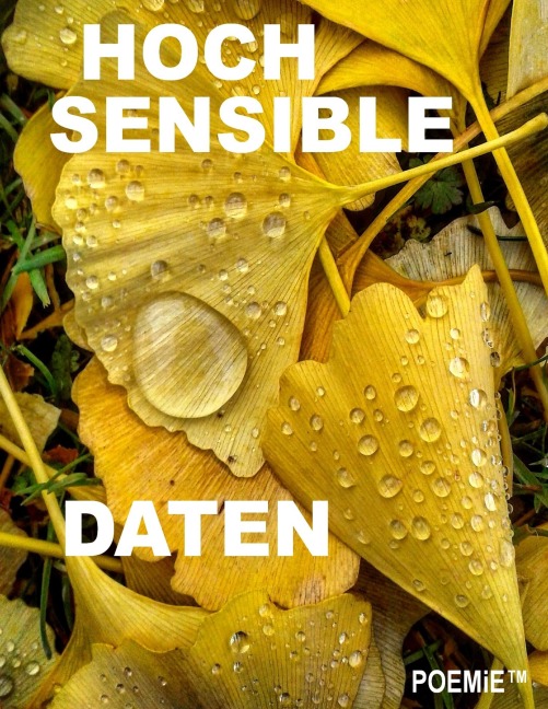 Hochsensible Daten - Tom De Toys, Ärwin Ängstirn