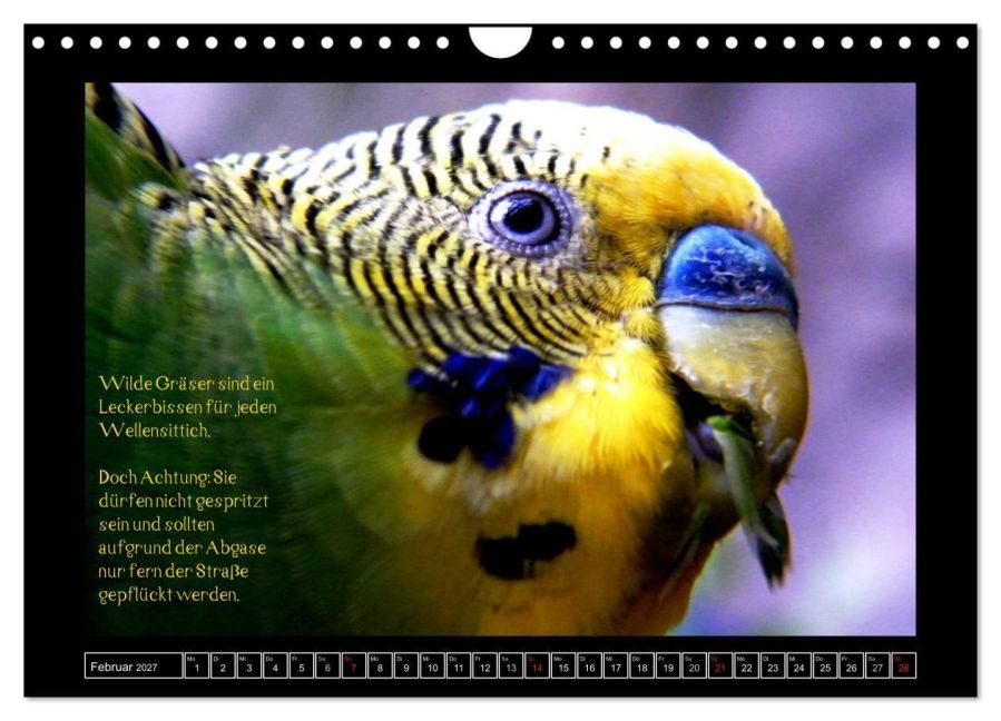 InsideView 7