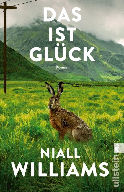 Das ist Glück - Niall Williams