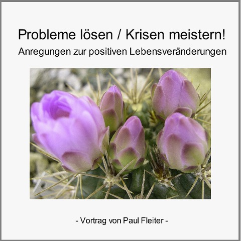 Probleme lösen & Krisen meistern! - Paul Fleiter