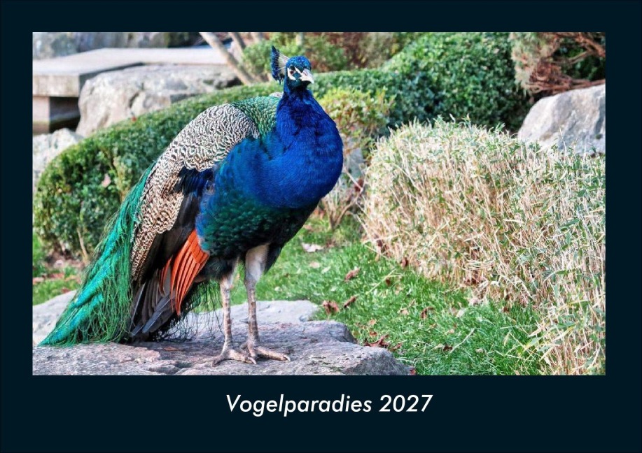 Vogelparadies 2027 Fotokalender DIN A4 - Tobias Schmitt, Kevin Heber