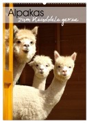 Alpakas zum Knuddeln gerne (Wandkalender 2026 DIN A2 hoch), CALVENDO Monatskalender - Heidi Rentschler