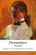 Cover-Bild zum Titel 'Ffynnonloyw' von 'Elizabeth Mary Jones Owen gynt'