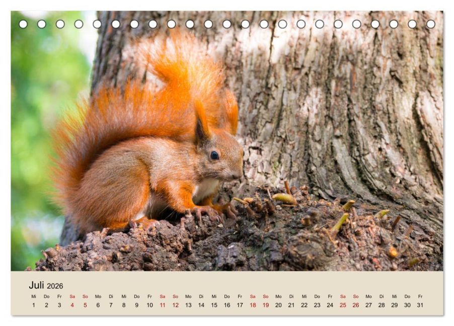 InsideView 12
