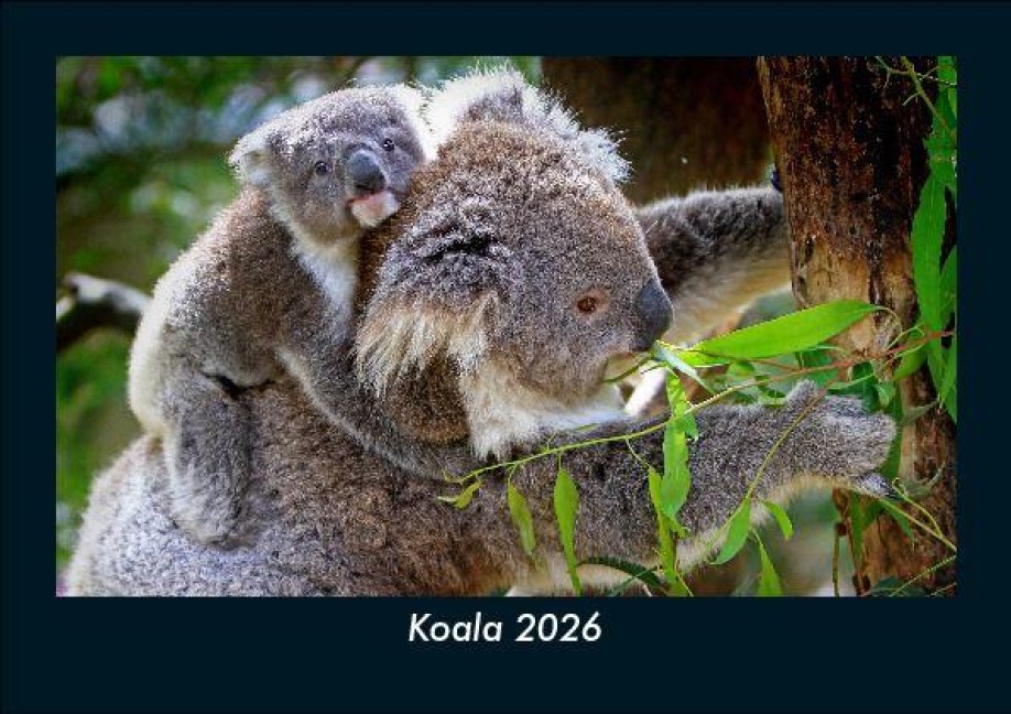 Koala 2026 Fotokalender DIN A5 - Tobias Becker