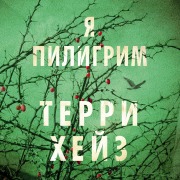 Cover-Bild zum Titel 'I am Pilgrim' von 'Terry Hayes'
