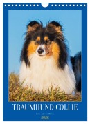 Cover-Bild zum Titel 'Traumhund Collie - Liebe auf vier Pfoten (Wandkalender 2026 DIN A4 hoch), CALVENDO Monatskalender' von 'Sigrid Starick'