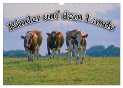 Cover-Bild zum Titel 'Rinder auf dem Lande (Wandkalender 2026 DIN A3 quer), CALVENDO Monatskalender' von 'Bildagentur Geduldig'