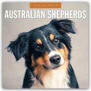 Australian Shepherds - Australian Shepherd 2026 - 16-Monatskalender - Robin Red
