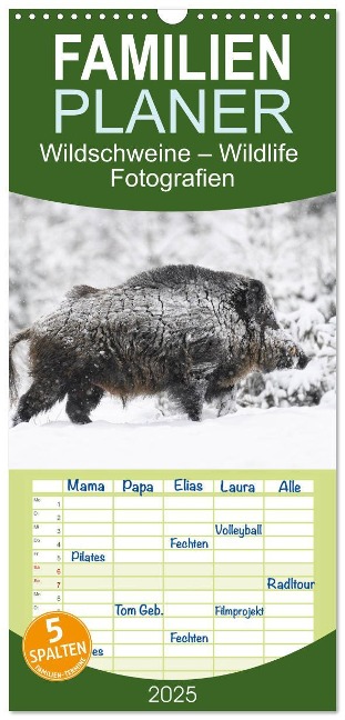 Familienplaner 2025 - Wildschweine ¿ Wildlife Fotografien mit 5 Spalten (Wandkalender, 21 x 45 cm) CALVENDO - Michael Breuer