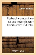 Recherches Anatomiques Sur Une Espèce Du Genre Branchiomma - Camille Brunotte