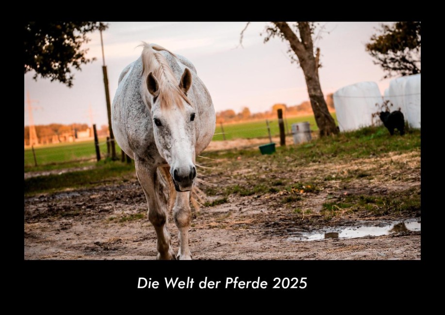 Die Welt der Pferde 2025 Fotokalender DIN A3 - Tobias Becker