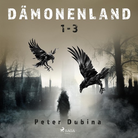 Dämonenland 1-3 - Peter Dubina