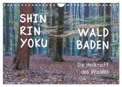 Cover-Bild zum Titel 'Shinrin yoku - Waldbaden 2027 (Wandkalender 2027 DIN A4 quer), CALVENDO Monatskalender' von 'Irma van der Wiel www. kalender-atelier. de'