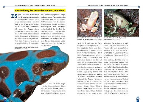 InsideView 3
