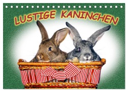 Cover-Bild zum Titel 'Lustige Kaninchen (Tischkalender 2026 DIN A5 quer), CALVENDO Monatskalender' von 'Www. Eugenfoto. Eu Www. Eugenfoto. Eu'