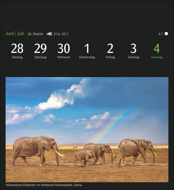 InsideView 7
