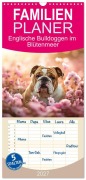 Cover-Bild zum Titel 'Familienplaner 2027 - Englische Bulldoggen im Blütenmeer mit 5 Spalten (Wandkalender, 21 x 45 cm) CALVENDO' von 'Ally Bee'