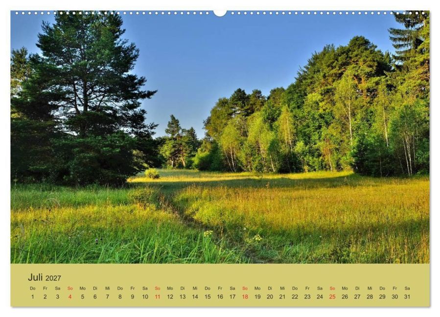 InsideView 12