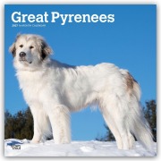 Cover-Bild zum Titel 'Great Pyrenees - Pyrenäenberghund 2027 - 16-Monatskalender' von 'Browntrout Publishers'