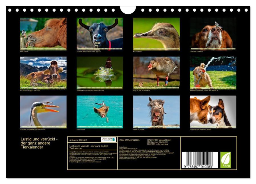 InsideView 5