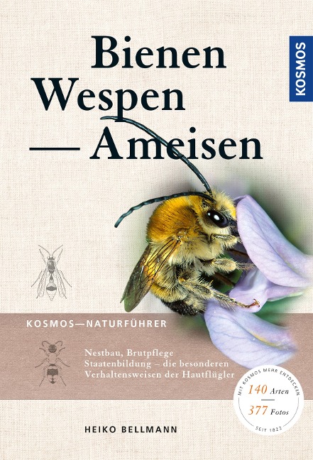 Bienen, Wespen, Ameisen - Heiko Bellmann, Matthias Helb