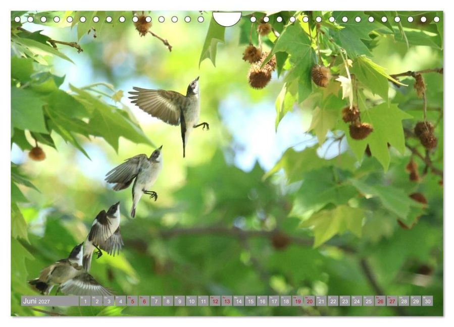 InsideView 11