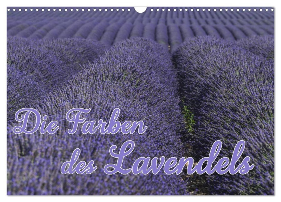 Die Farbe des Lavendels (Wandkalender 2026 DIN A3 quer), CALVENDO Monatskalender - Ralf-Udo Thiele