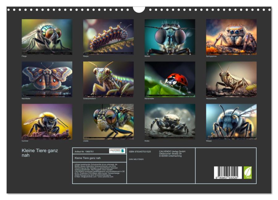 InsideView 5